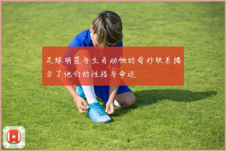 足球明星与生肖动物的奇妙联系揭示了他们的性格与命运