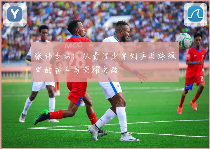 张伟专访：从青涩少年到乒乓球冠军的奋斗与荣耀之路