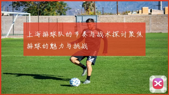 上海排球队的节奏与战术探讨聚焦排球的魅力与挑战