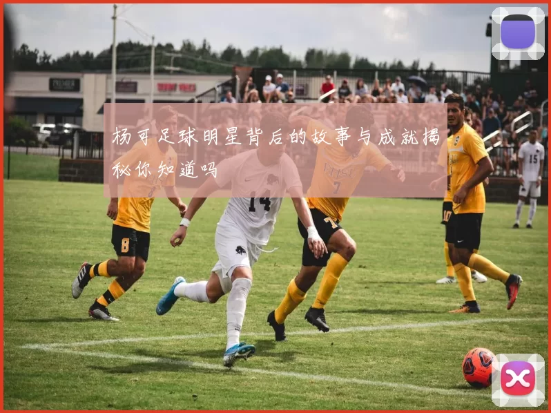 杨可足球明星背后的故事与成就揭秘你知道吗