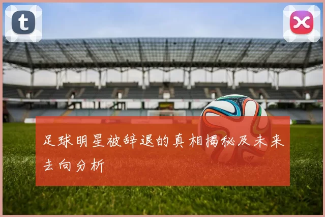 足球明星被辞退的真相揭秘及未来去向分析
