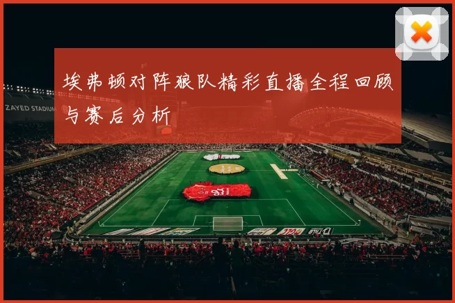 埃弗顿对阵狼队精彩直播全程回顾与赛后分析