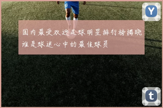 国内最受欢迎足球明星排行榜揭晓谁是球迷心中的最佳球员