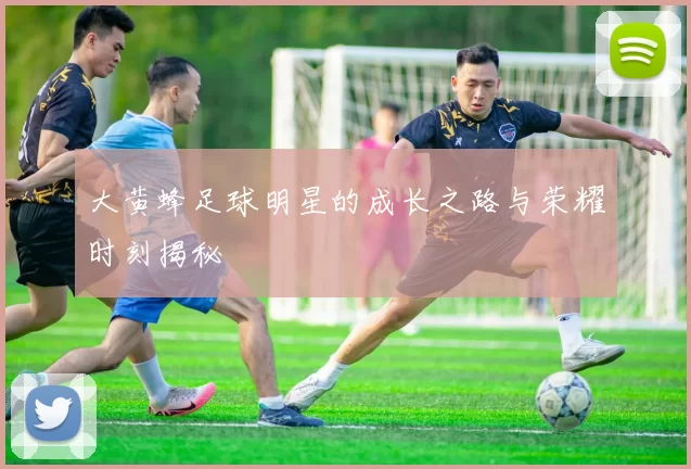 大黄蜂足球明星的成长之路与荣耀时刻揭秘